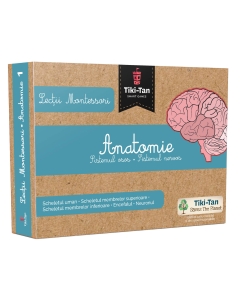 Lecții Montessori - Anatomie: Sistemul osos • Sistemul nervos - Editura Gama