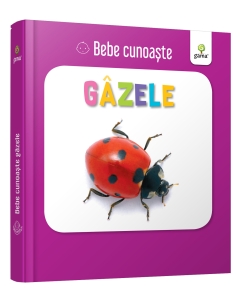 Bebe Cunoaste - Gaze - Editura Gama